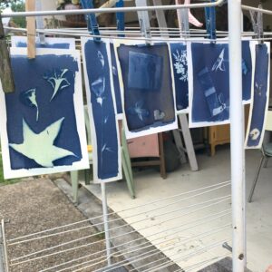 cyanotype 2